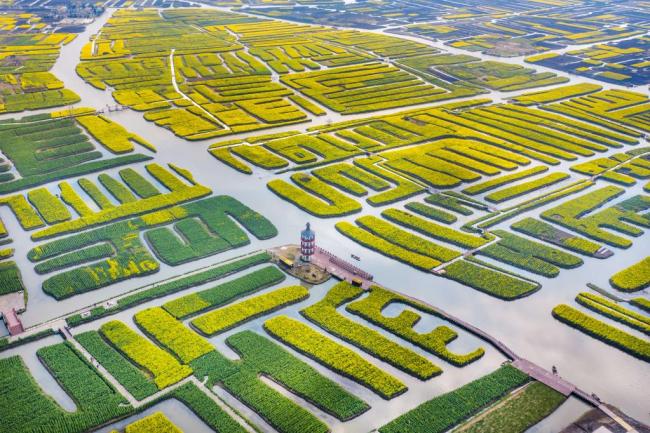 我国新添4处世界灌溉工程遗产